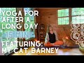 Yoga For After A Long Day Featuring Barney The Cat