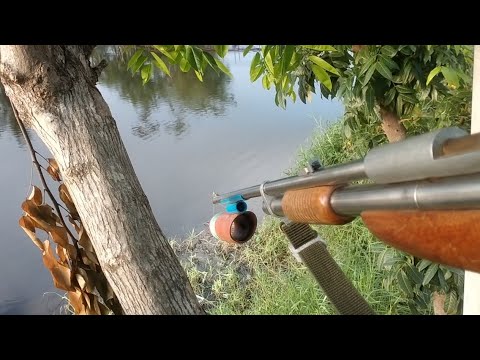 Tiksay Fish Hunting #44 Nakarami ako ng putok | Telacsan to Pasac