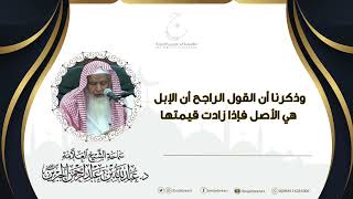 صورة أصول الديات