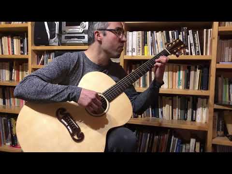 Vlasta Redl: Vyznání strážce T.O. (acoustic guitar cover)