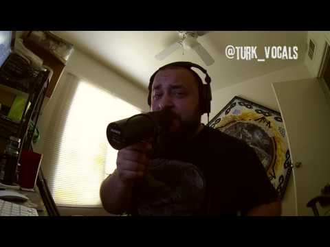 Matt Turkington - Vasoline by Stone Temple Pilots