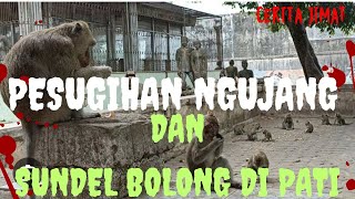 Download lagu PESUGIHAN NGUJANG DAN SUNDEL BOLONG VIRAL DI PATI JAWA TENGAH mp3 Download lagu PESUGIHAN NGUJANG DAN SUNDEL BOLONG VIRAL DI PATI JAWA TENGAH mp3