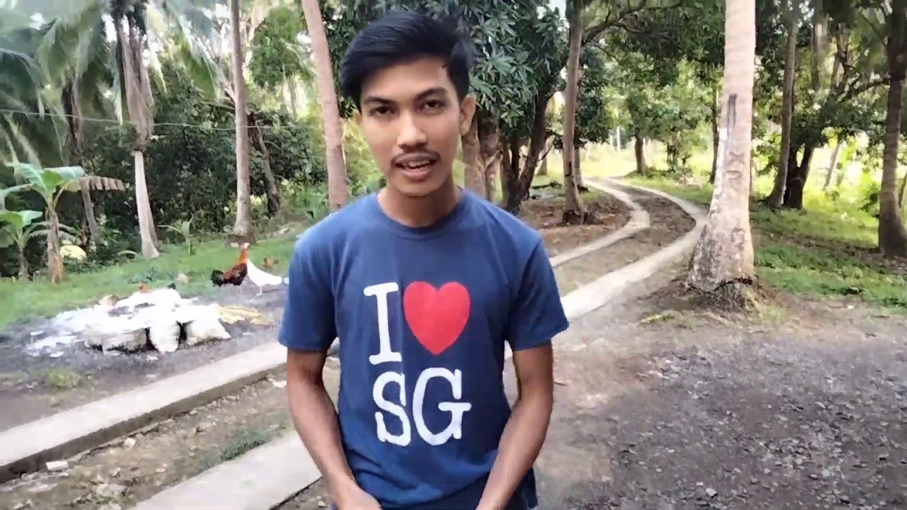 FERMENTATION OF FRUIT JUICE (FFJ) using Buko and Molasses (Farming System Development)