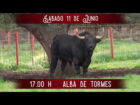 El poso de lo importante