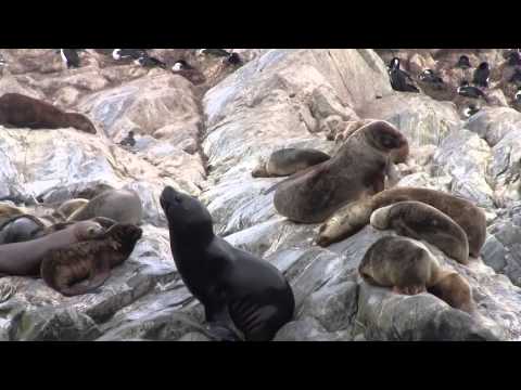 A PASSAGE TO PATAGONIA part 3 (Punta Arenas - Ushuaia - Buenos Aires)