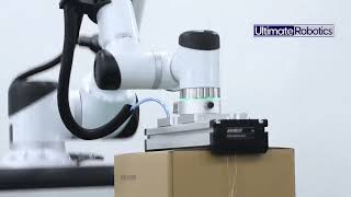 Download the video "Palletizing Robot - Ultimate Robotics"
