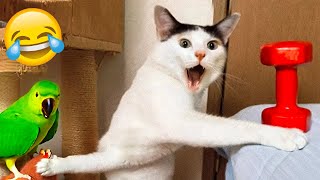 Funniest Animals 2024 😂 New Funny Cats and Dogs Videos 😻🐶 Part 4