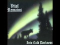 Vital Remains - Countess Bathory (Venom cover)