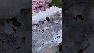 Ametystová růže 1350g