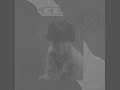'http://durl.me/jr8cp' 글에 포함된 동영상
