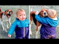 ¡Estos Perros se Reúnen con sus Dueños Después de Años! DEFAULT Thumbnail
