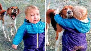 ¡Estos Perros se Reúnen con sus Dueños Después de Años! MQDEFAULT Thumbnail