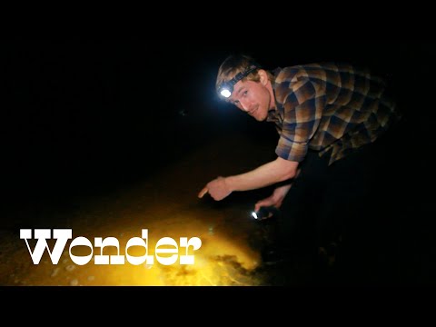 Exploring NYC Sewers | Undercity Kissens Park