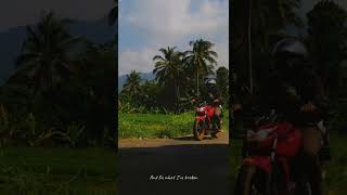 Download lagu Story wa || I'd climb every mountain and swim every ocean mp3