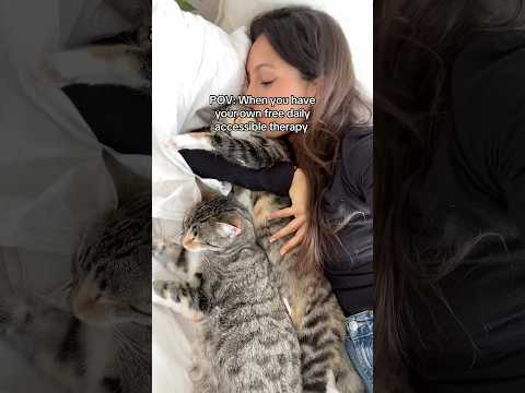 Nothing beats this 💗 #healing #cats #cuddlycats #cutecat #purring #purrs #catlover