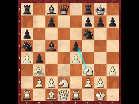 GM Safarli Eltaj  (AZE) 2680 vs IM Shyaamnikhil P(IND) 2440 (½ - ½)