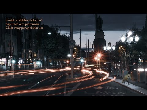 Ainmhí Eile ar Fad / A Different Animal | Poem in Irish with English translation