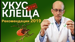 Укус клеща в августе опасен
