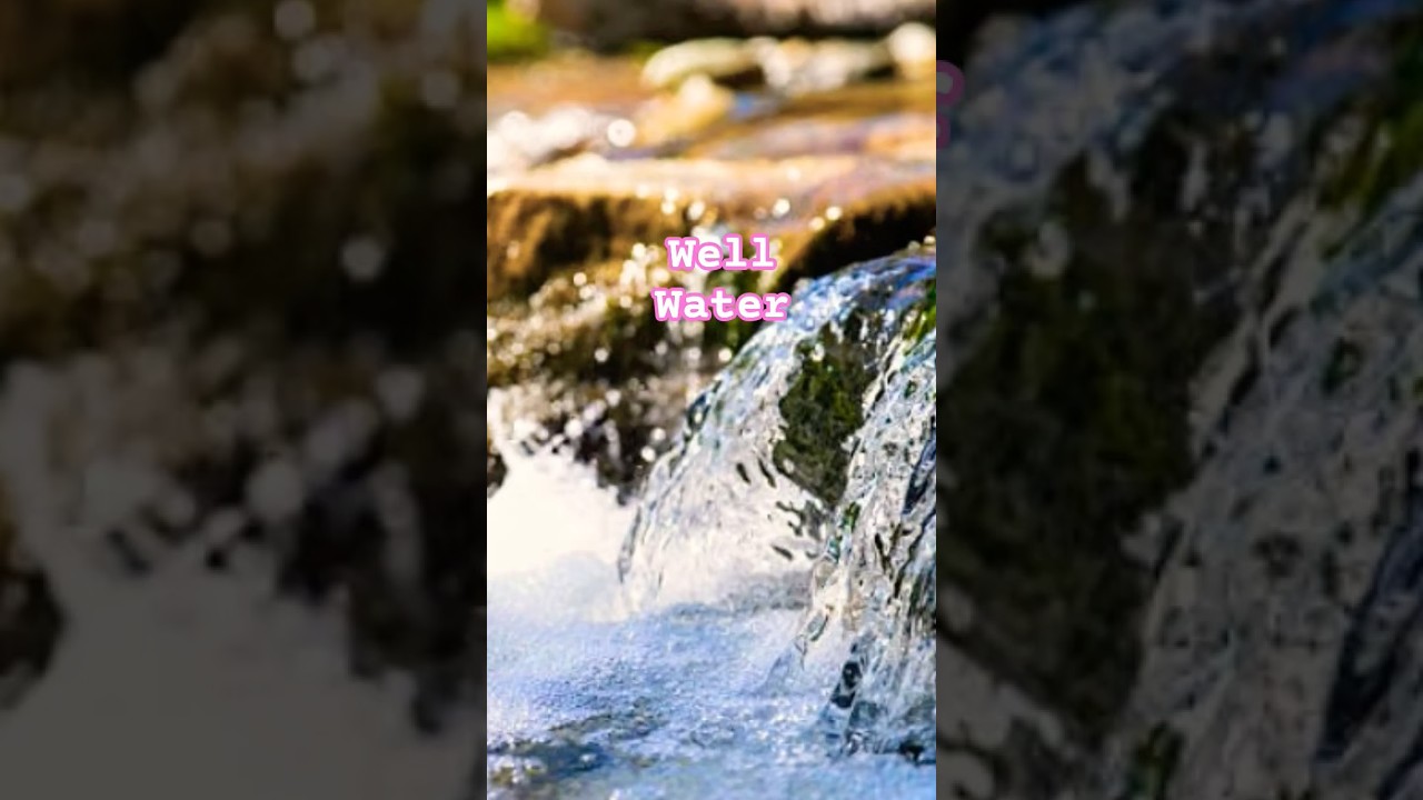Best Water For Aquarium Fishes For Fast Growth #fish #fishaquarium