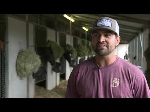 2019 AAD 06 Valiant Tiberias