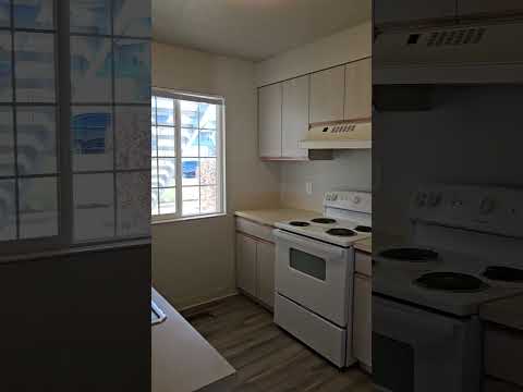 DAL584 - Video 2 of 2