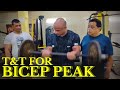 T & T For Bicep Peak