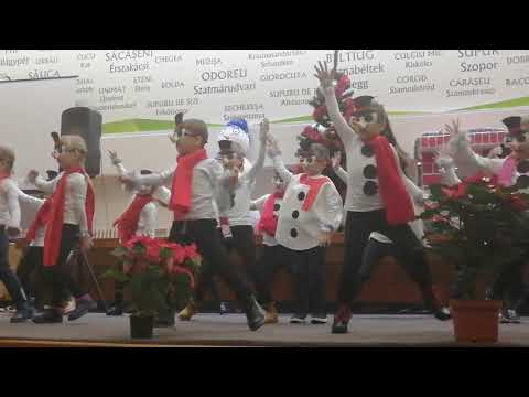 Serbare Școala Octavian Goga Satu Mare Clasa 0