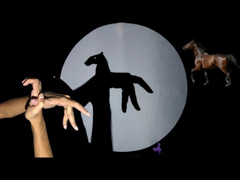 Hand shadow Performance