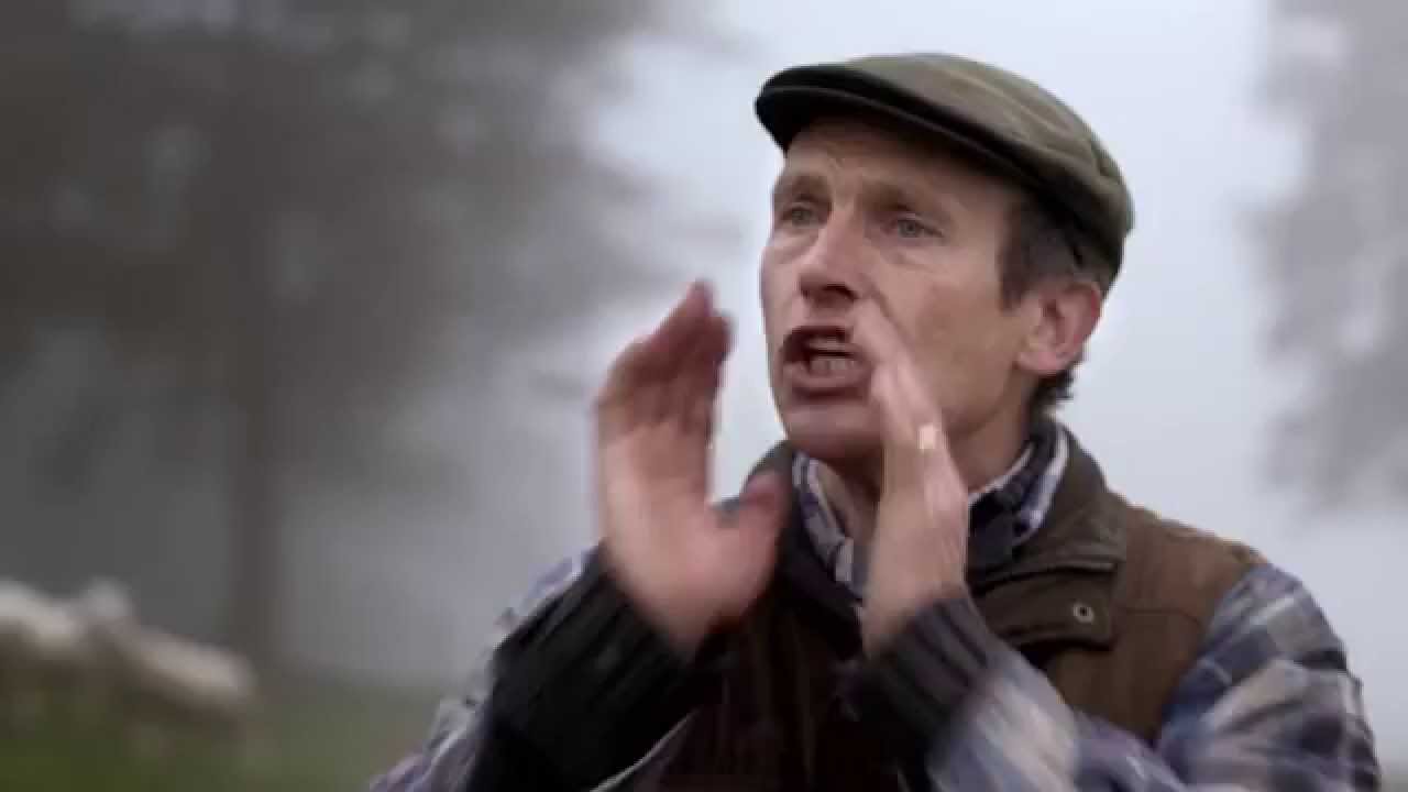 THINK! - Country Roads: Helpful Hazards