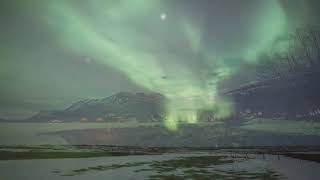 Effie Agrafioti performs: Spiros Deligiannopoulos Keine kleine Nachtmusik