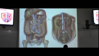 Dr. Hossam 18- 3- 2015 [ Kidneys ]