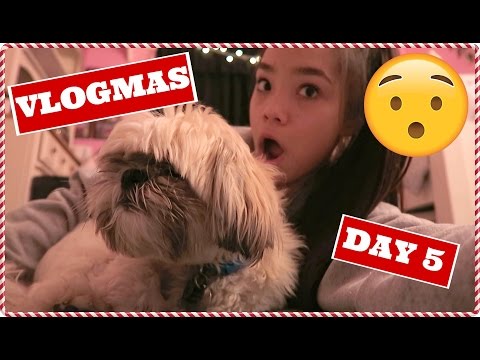 DOG PEES ON MY BACKPACK?! Vlogmas Day 5