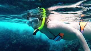 Maui 2017 Snorkeling Black Rock and other beaches