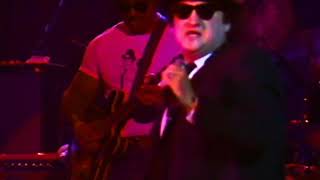 The Blues Brothers - Shotgun Blues - 12/31/1978 - Winterland