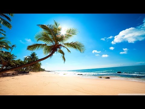 Steel Band For Hire Manchester