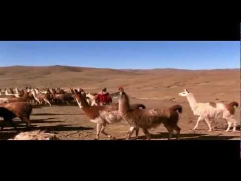 Savia Andina - Flor de un dia (HQ)