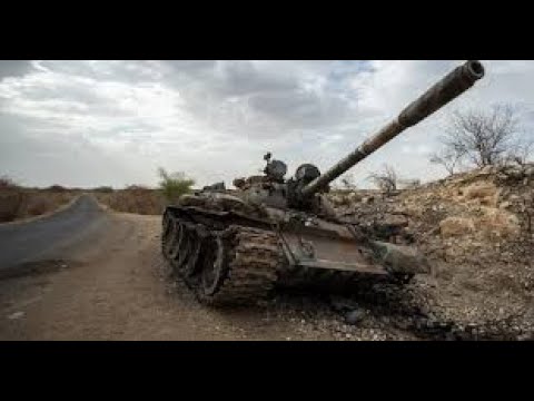 Tigray defense forces strategy of success