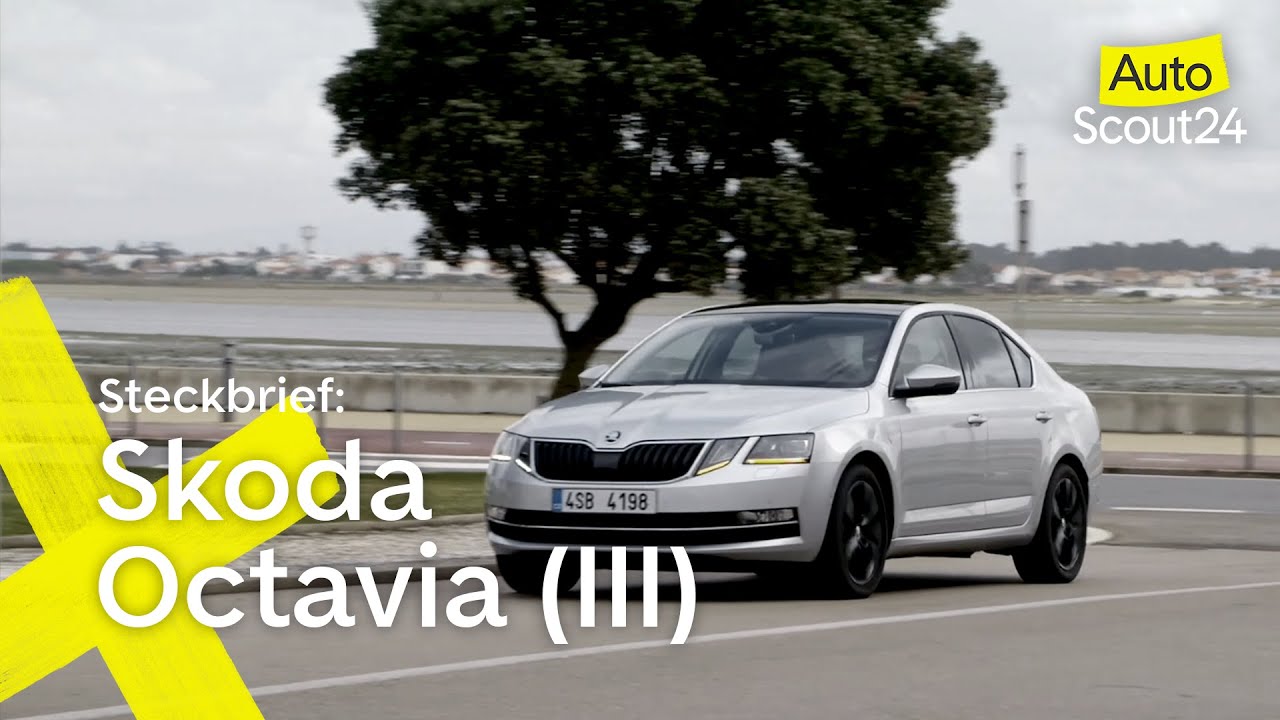 Video - Skoda Octavia Steckbrief