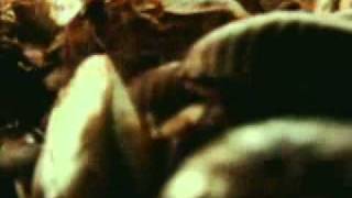 BURST- Sculpt the lives