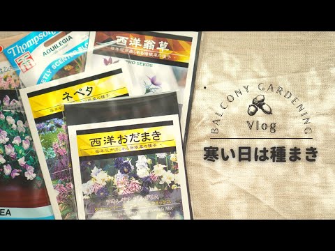 オダマキの種を蒔く: プロによる 3 つのヒント 植物