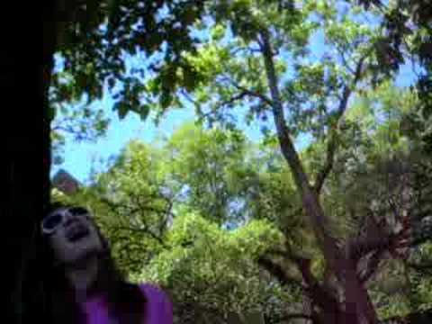 ligia singing love song