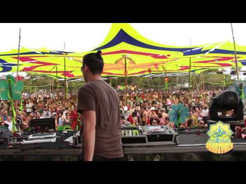 Equilibrium Woodstock - Sideform