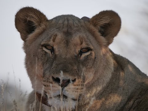 Namibia 2022   Teil 1