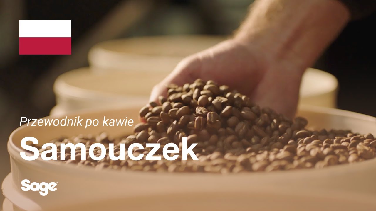 Samouczek kawowy Breville - Wybór odpowiednich ziaren