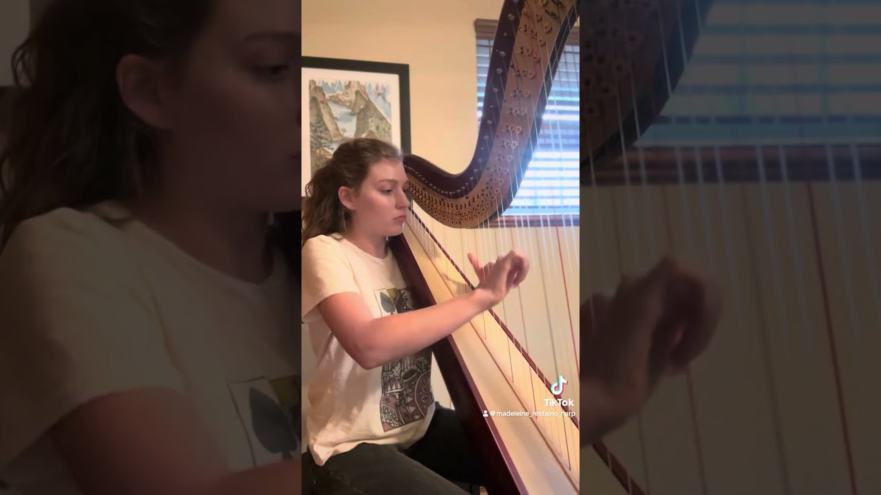 Promotional video thumbnail 5 for Madeleine Restaino Harpist