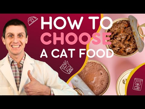 5 Tips For Choosing The Best Cat Food
