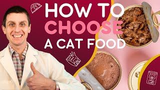 5 Tips For Choosing The Best Cat Food