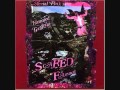 Ariel Pink's Haunted Graffiti- Politely Declined