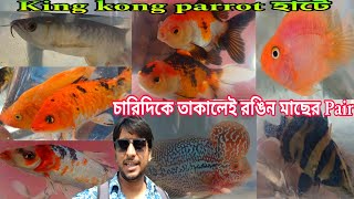রঙিন মাছের বাহার চারিদিকে | Serampore Fish Market | Serampore Pet Market | Fish Shop Near Me 