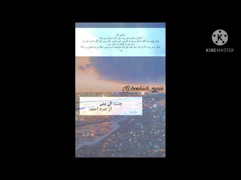 Best lines and Quotes from novel|| Jannat k patty|| By Nimrah Ahmed